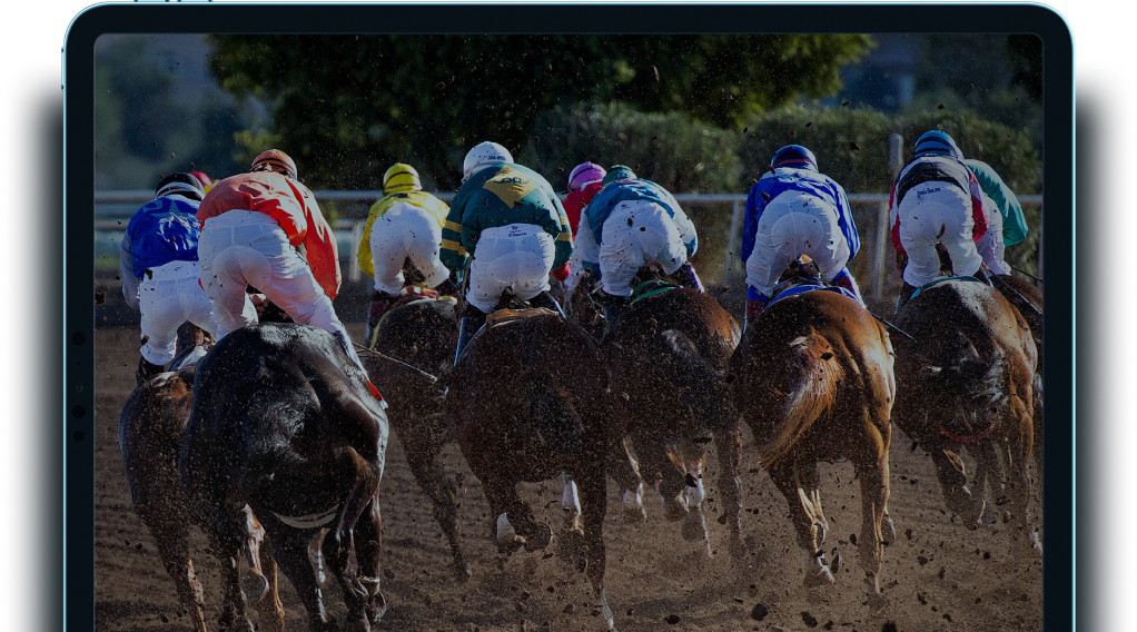 Watch the Punt Club video